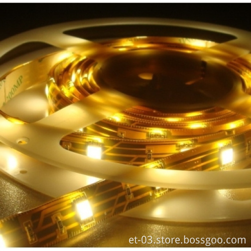 Waterproof Strip Light 3528 SMD, 300LED / Roll, 12V DC